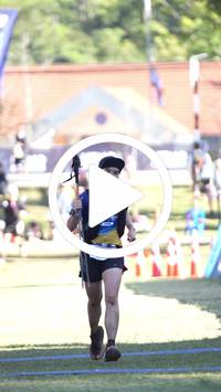 BIB:  <button type="button" onclick="openModal(26565561)" class="btn btn-primary btn-sm float-right" data-toggle="modal" data-target=".modal-high-quality">
                <i class="fa fa-download"></i> Download
                </button>